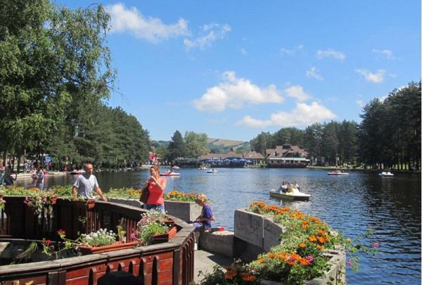 Apartment Lang & Zlatibor